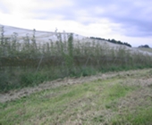 顔が見える食品